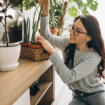 Jovem Mulher Cultivando Plantas Em Casa 150x150