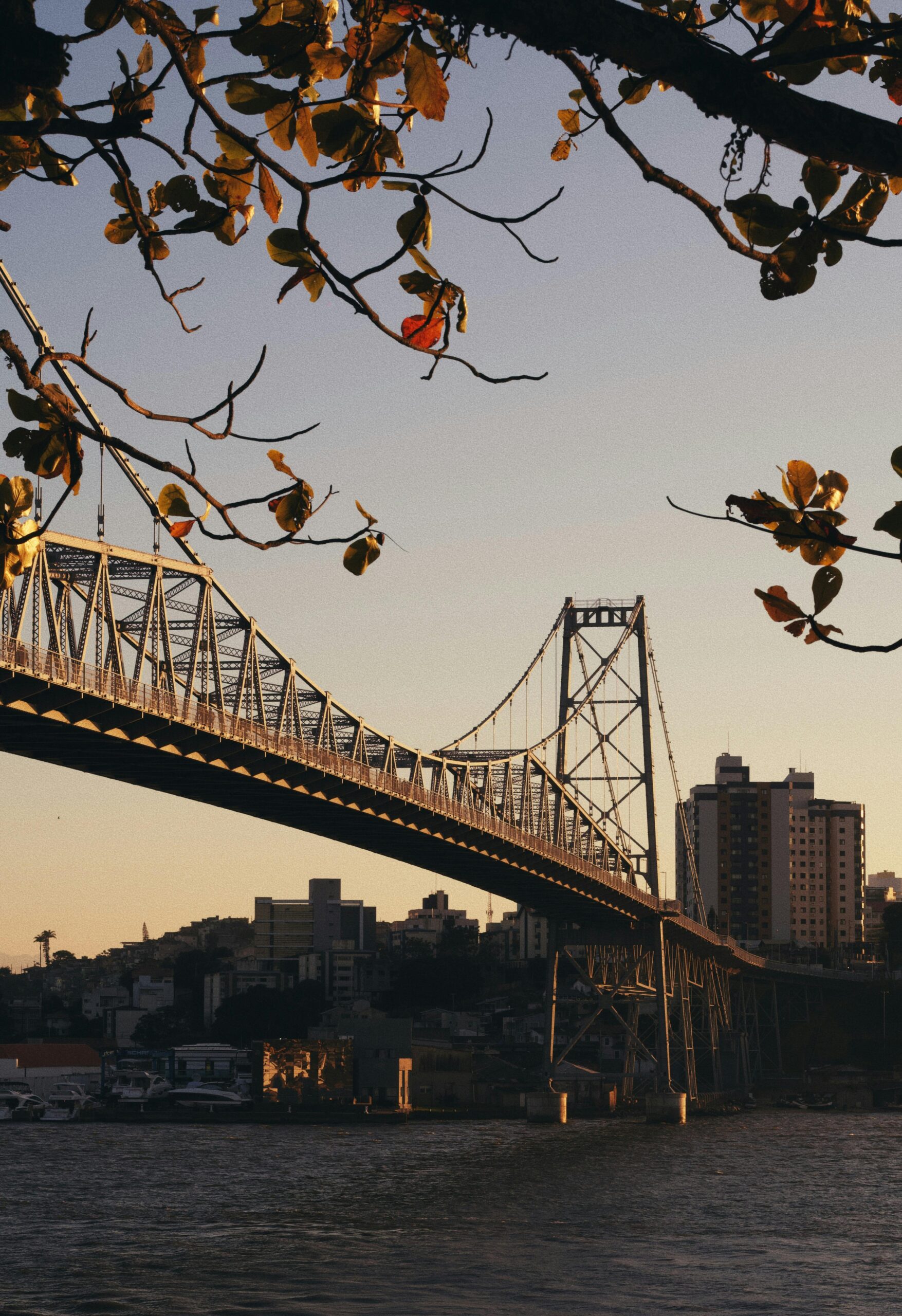 As Cinco Melhores Cidades Para Viver